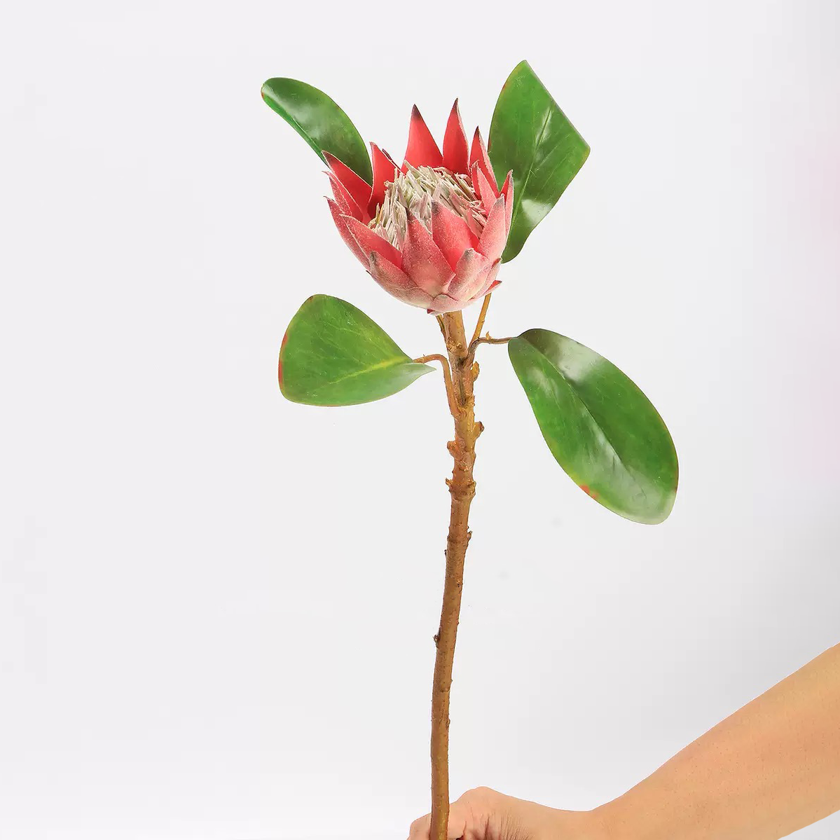 Hyper-Realistic Artificial Crown Mini King Protea - 3 Stems per Set