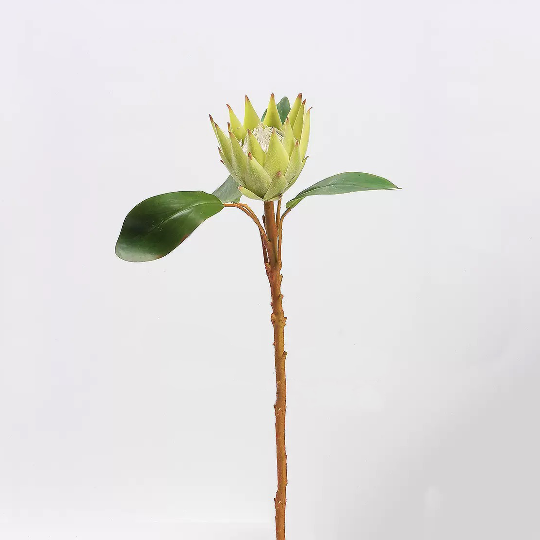 Hyper-Realistic Artificial Crown Mini King Protea - 3 Stems per Set