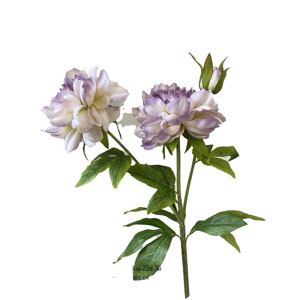 High-end Hibiscus Peony Peony Artificial Flowers (Set of 4, Vase Not Included)